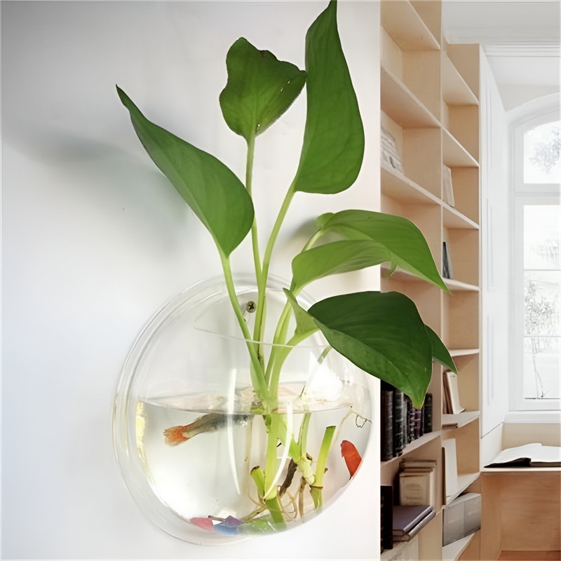 Wall-mounted transparent acrylic vase or fish tank 5A01